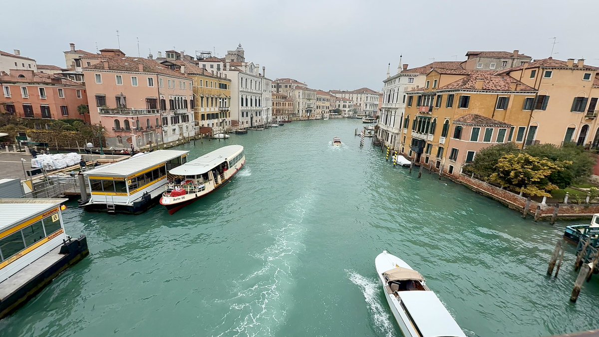 Juan J. Mendoza, Ed.D. tweet media