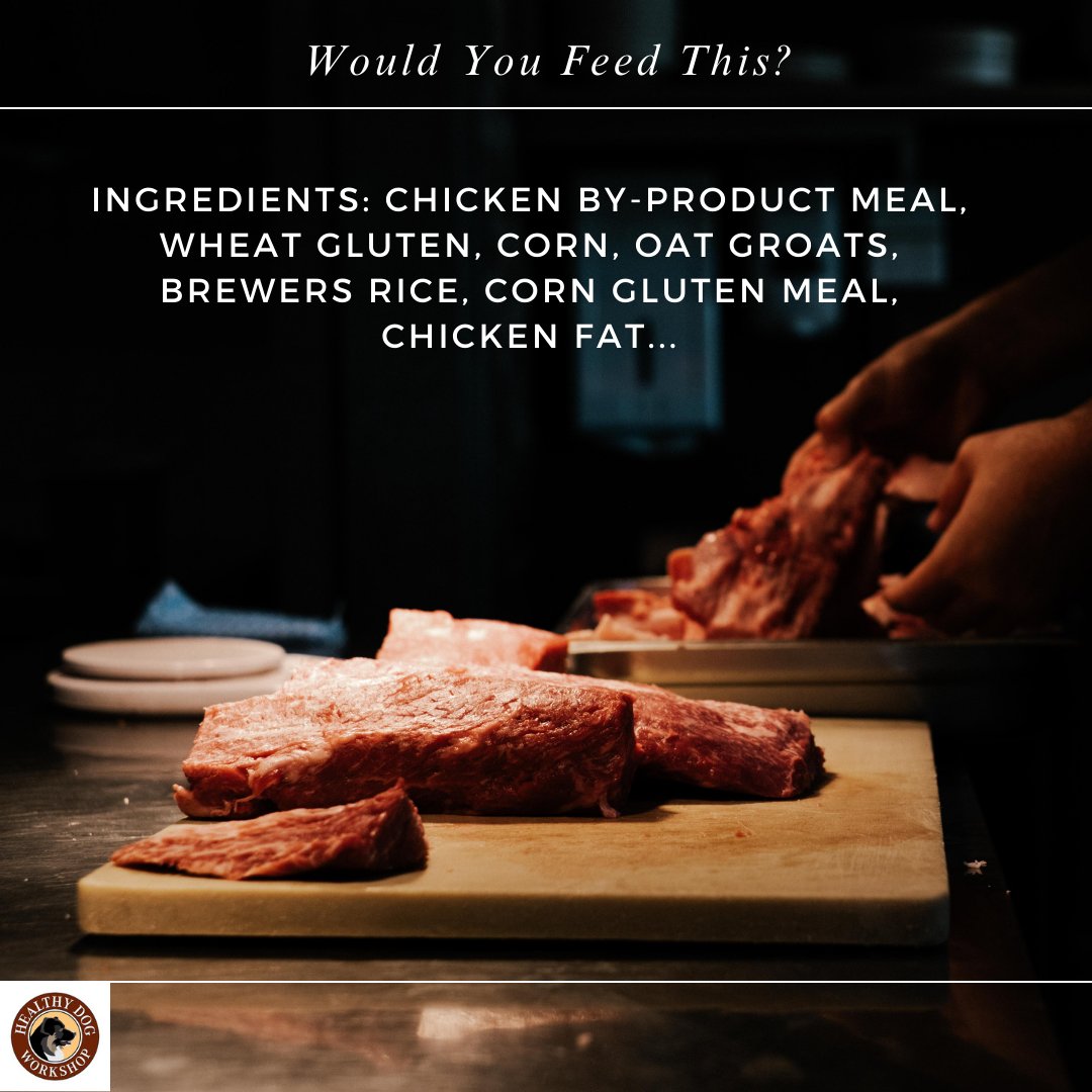 Would you feed a product with these ingredients to your dog? Check out the latest blog for more: tinyurl.com/2yvwaglt