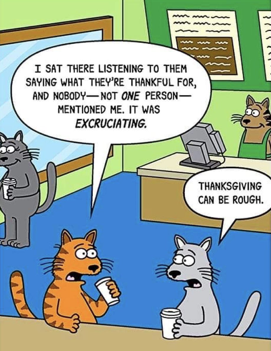 Happy Thanksgiving friends! Don’t forget to tell your fur babies you’re thankful for them🧡