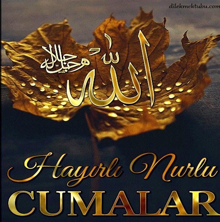 Adem Avan (@ademavan11) on Twitter photo 