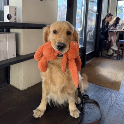 acblume's tweet photo. #NewProfilePic https://t.co/R7RRJjI1i8