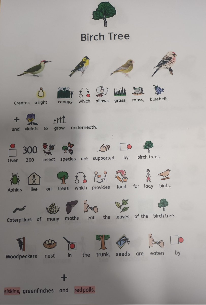 EllesmerePost16's tweet photo. It was National Tree week this week so we've been identifying trees on our site and making information sheets. https://t.co/y4427nwfCR
