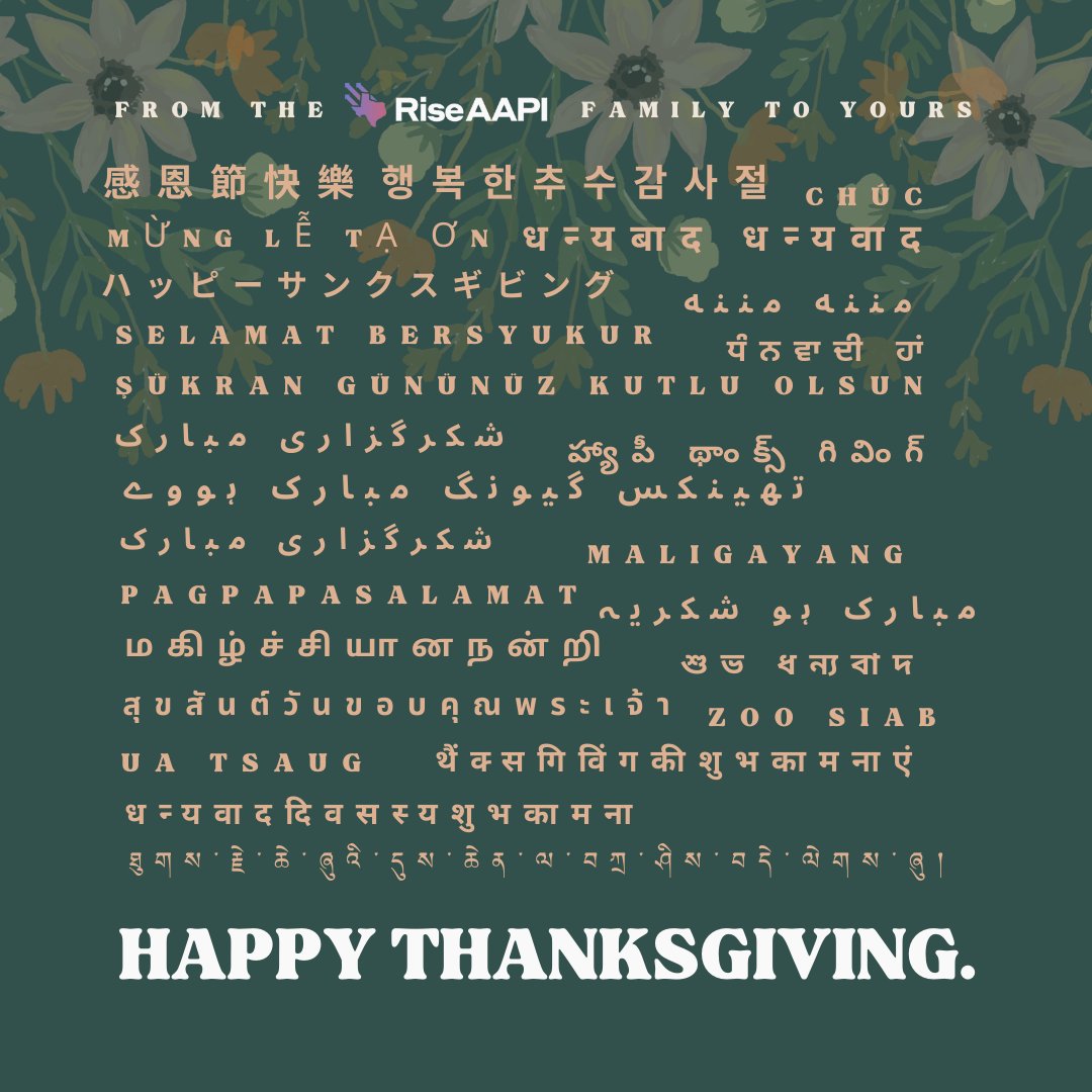 RiseAAPI's tweet image. From the @RiseAAPI Family to yours...happy Thanksgiving! This year and every year, we&apos;re taking time to learn more about the Indigenous land that we live on and taking steps to honor BIPOC equity and justice, always.