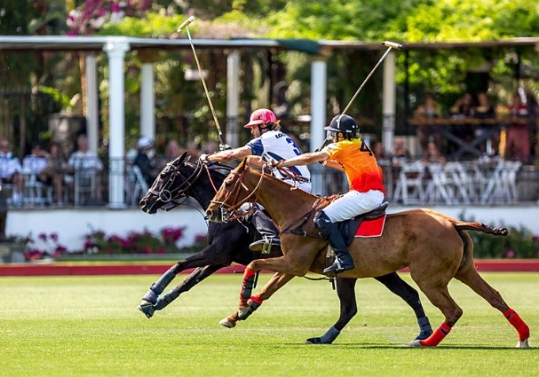 polo_holidays's tweet photo. Did you know Argentina is the ultimate polo destination? Learn why!

https://t.co/OD0VrhX1Lj https://t.co/iNUqiVAjoF