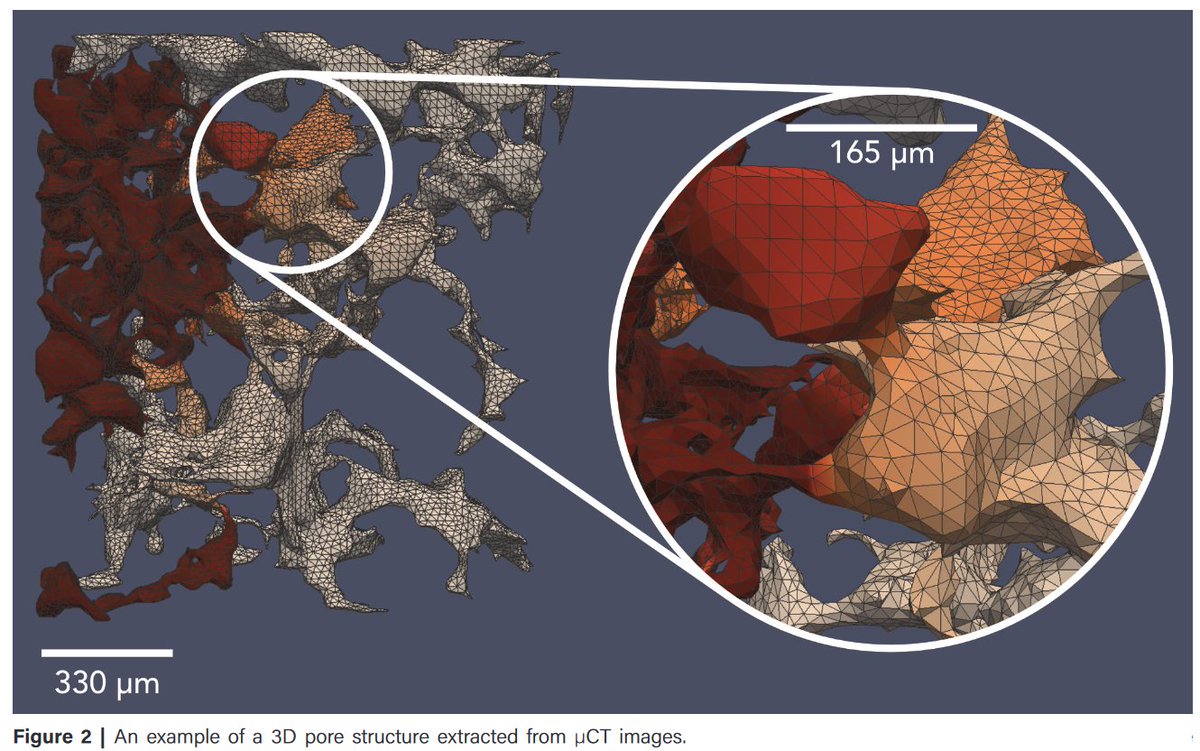 🚨New Paper🚨  

Payton et al. present the value and limitations of x-ray micro computed  tomography as a new tool for micro-scale investigations of siliciclastic  deposits such as fluid-bearing reservoirs.

Check out the full article here: oap.unige.ch/journals/sdk/a…
 
#OpenAccess