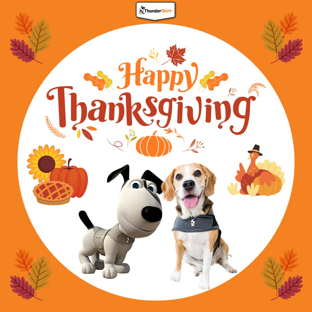 Sending you all the joy and happiness today on Thanksgiving 🦃🍁🐶