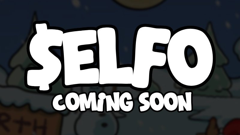 Happy Thanksgiving, F*ck the Thanksgiving rugs 🦃

Christmas is coming and so is $ELFO 🎄

First 500 $SOL wallets 👇

#Solana #SolanaMemeCoin #PumpFunLaunch