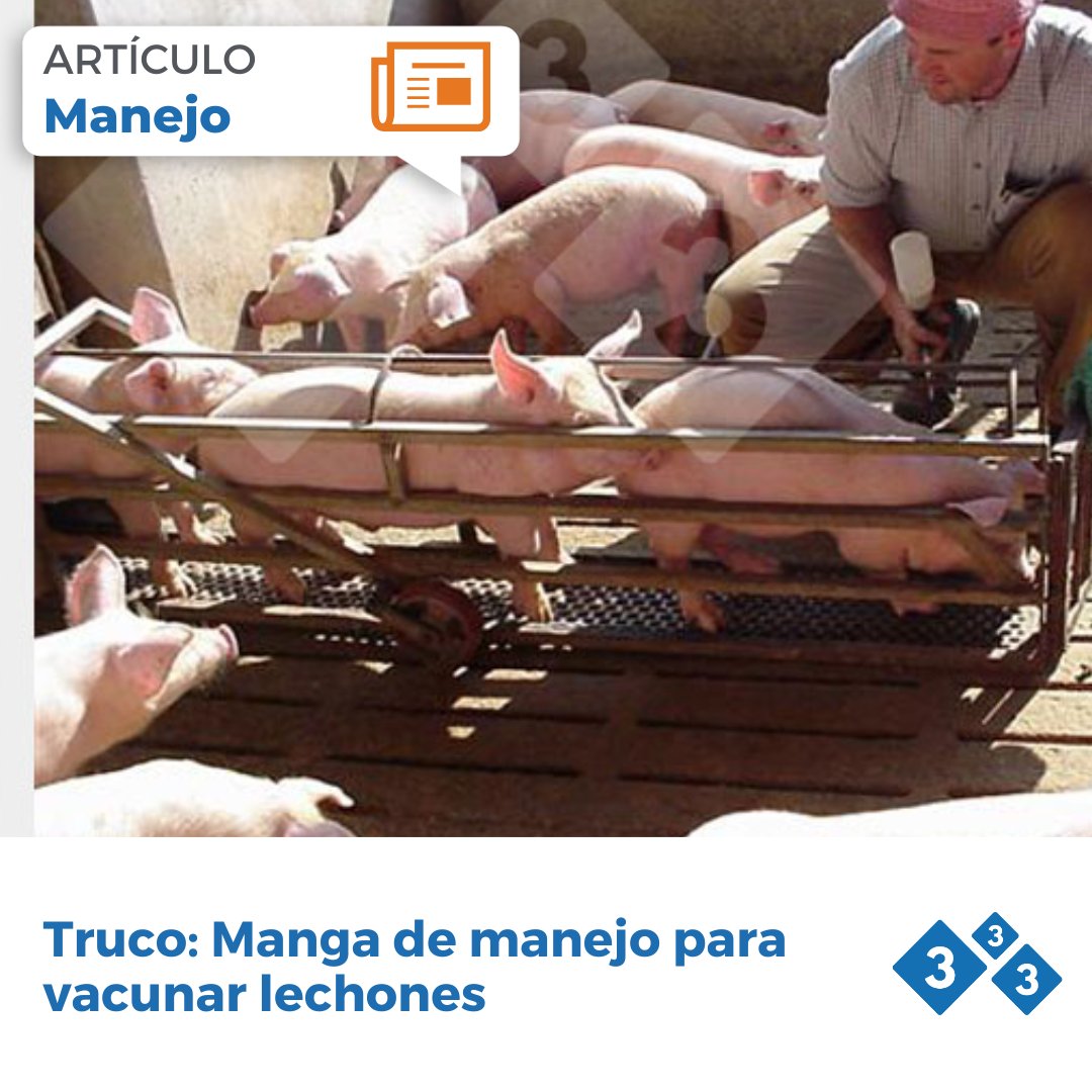 3tres3.com tweet media