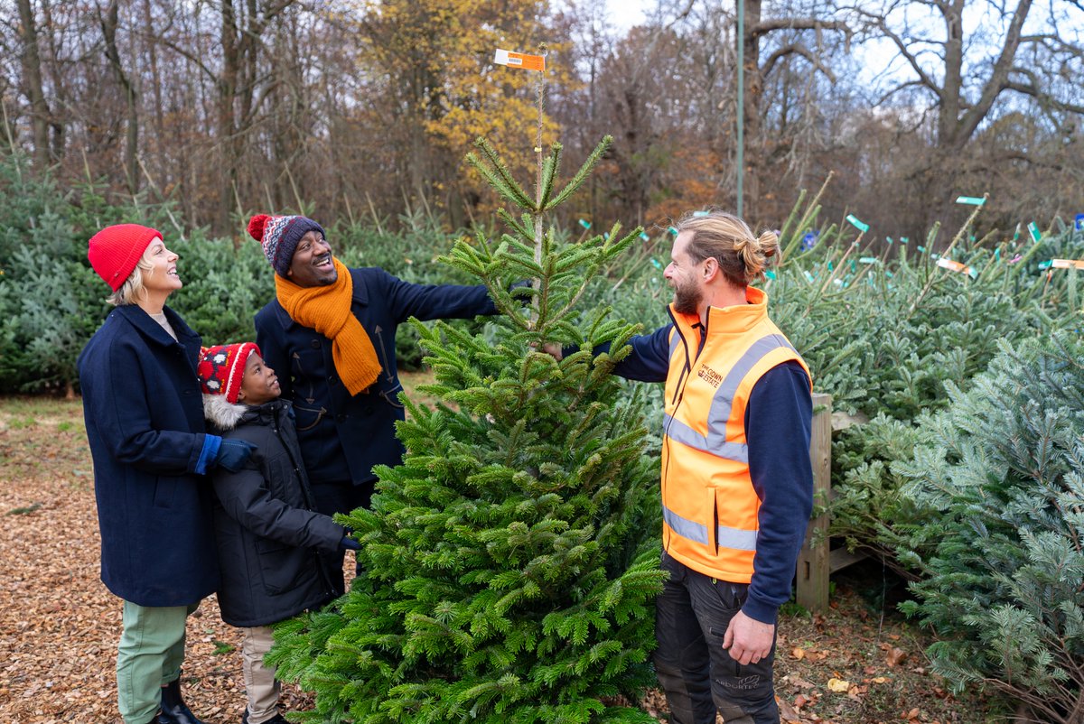 Adventure Play tweet media