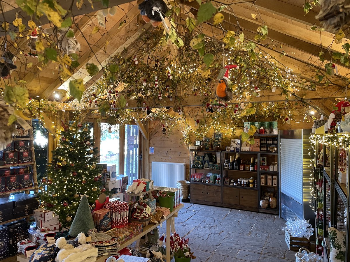 Adventure Play tweet media