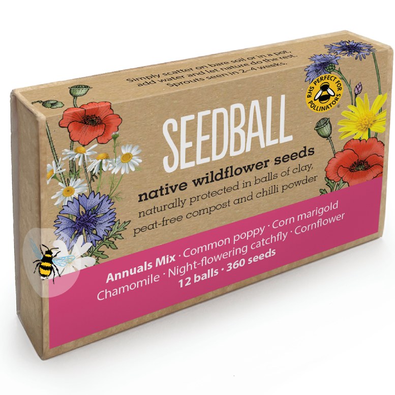 🌱SEEDBALL 🐝 tweet media