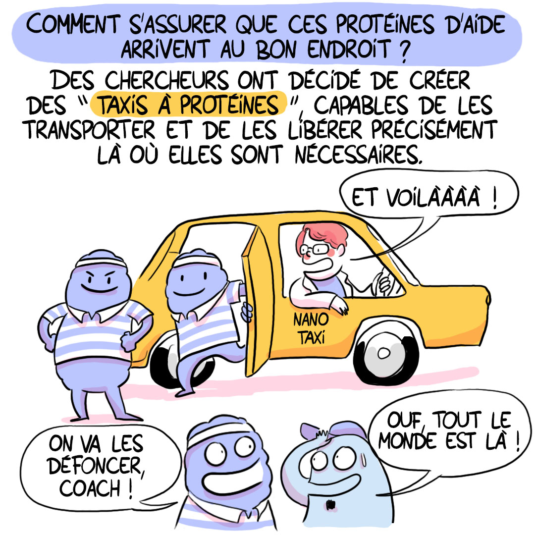 CNRS_Alsace's tweet image. 🗨️𝗕𝗗𝑒́𝑐𝑜𝑢𝑣𝑟𝑜𝑛𝑠 CORELMAG 7/13 
Concevoir des taxis à protéines pour (dé)livrer des médicaments avec précision : un défi relevé par l&apos;@IPCMSlab !
Découvrez ce projet en BD
1 jour = 1 vignette 
@AgenceRecherche @CNRS @CNRSchimie #SAPSCNRS #sante #chimie #materiaux