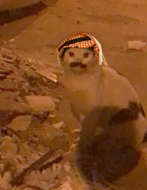 فـهـد tweet media