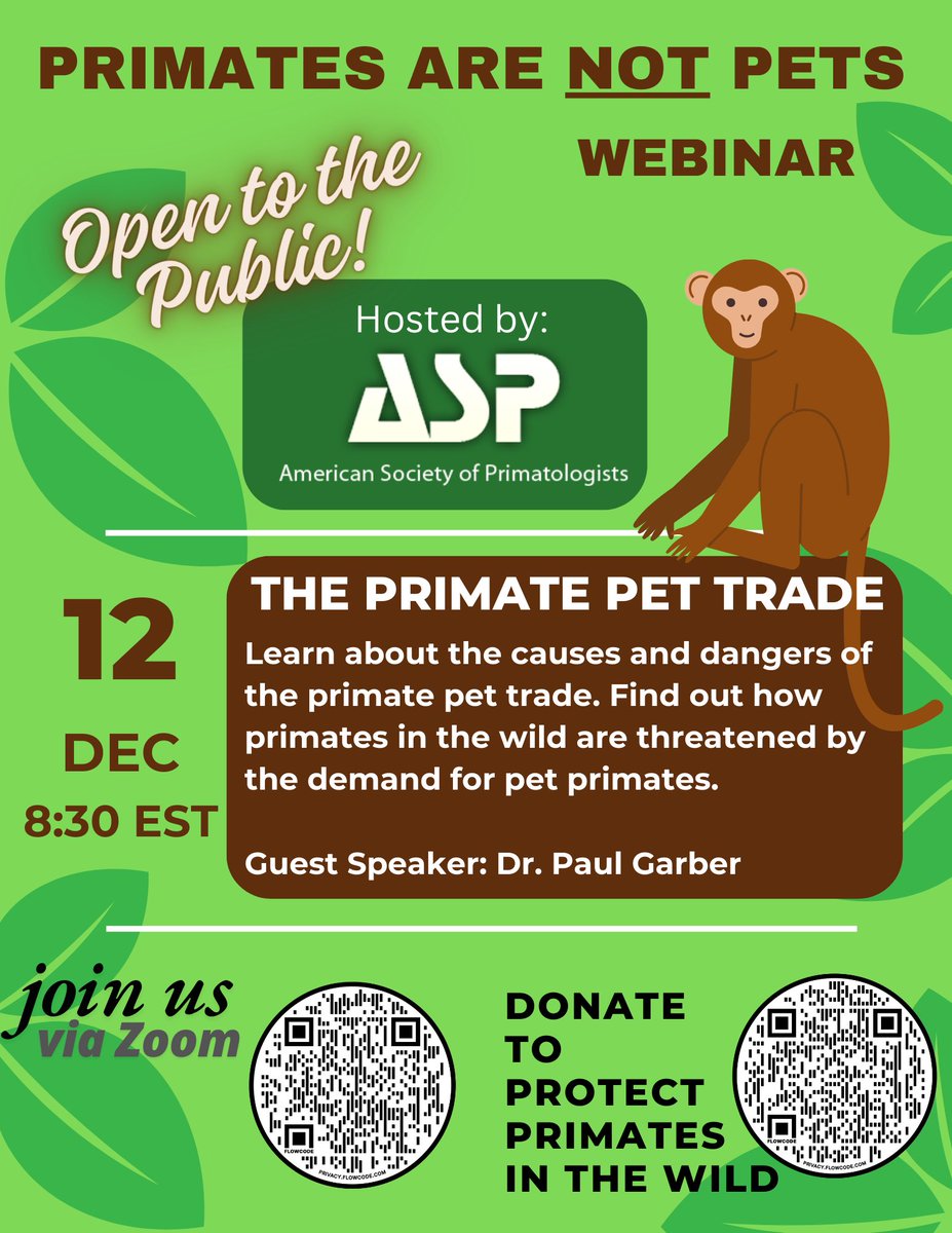 ASPvoice's tweet photo. 📢 Join us for the Primates are Not Pets Webinar series hosted by the ASP Conservation Committee. Free and open to all!

For our first webinar is at 8:30 PM EST on December 12, 2024 featuring talks from Dr. Paul Garber, Dr. Kaelyn Dobson and Dr. Marilyn Norconck #primates https://t.co/fnndkE80hY