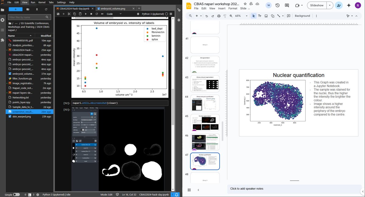Dr. Robert Lees (@robmlees) on Twitter photo #CBIAS2024 workshop was great, thanks <a href="/RogerDAntuono/">Rocco D'Antuono</a>
It got me back in to Python, Jupyter labs, and now Napari for the first time.
Maybe I won't make as many ImageJ macros now🤪, as Napari goes from raw data -> plots with more flexibility #CBIAS2024 workshop was great, thanks <a href="/RogerDAntuono/">Rocco D'Antuono</a>
It got me back in to Python, Jupyter labs, and now Napari for the first time.
Maybe I won't make as many ImageJ macros now🤪, as Napari goes from raw data -> plots with more flexibility