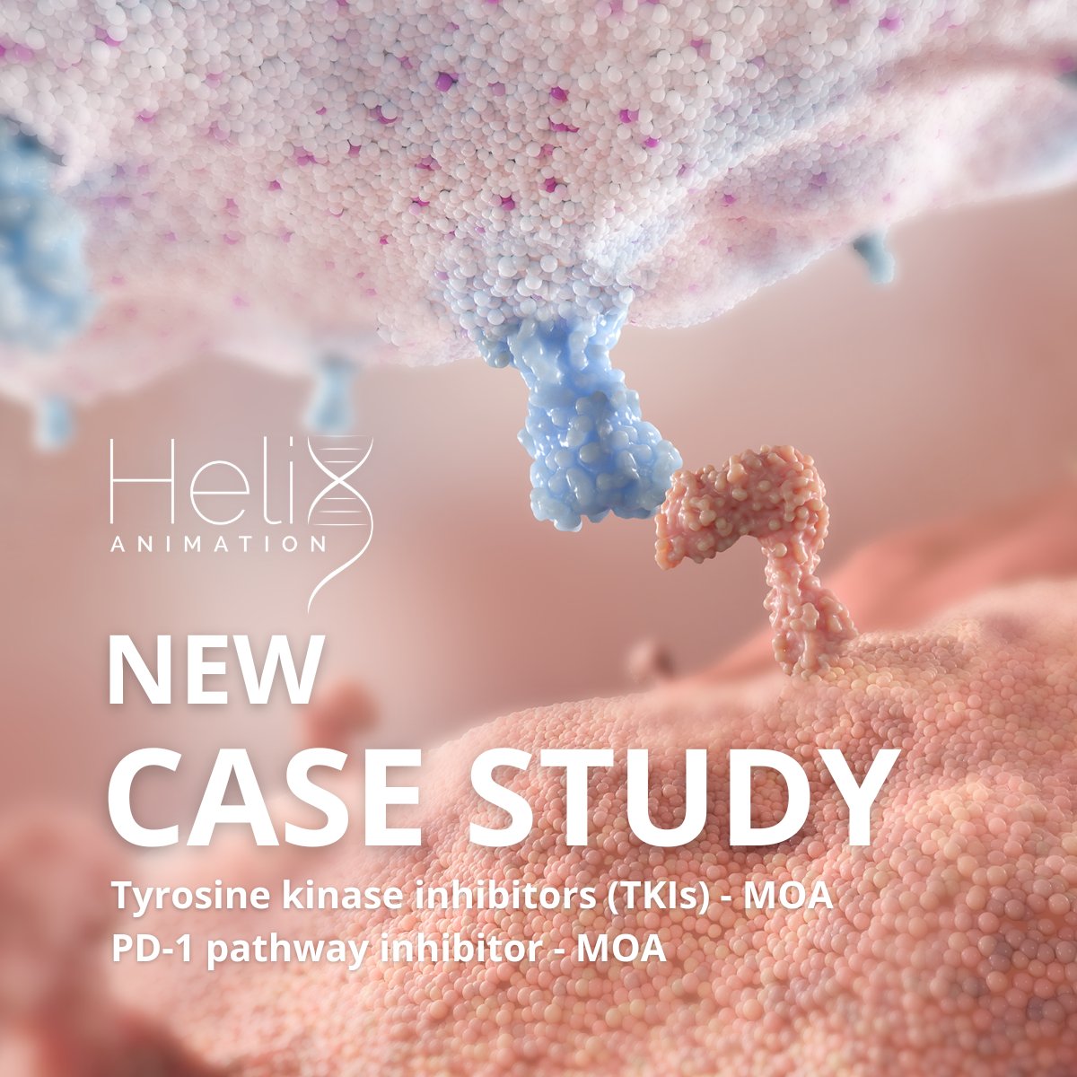 🌟#CaseStudy Spotlight! 💡 2 #MOA done for our partners at The Agency Network at MJH Life Sciences – the largest privately-held communications company in the USA, with 60+ brands and 1500+ events.

Check it out 👉lnkd.in/dN9K7vas

#MedicalAnimation #ScientificStorytelling