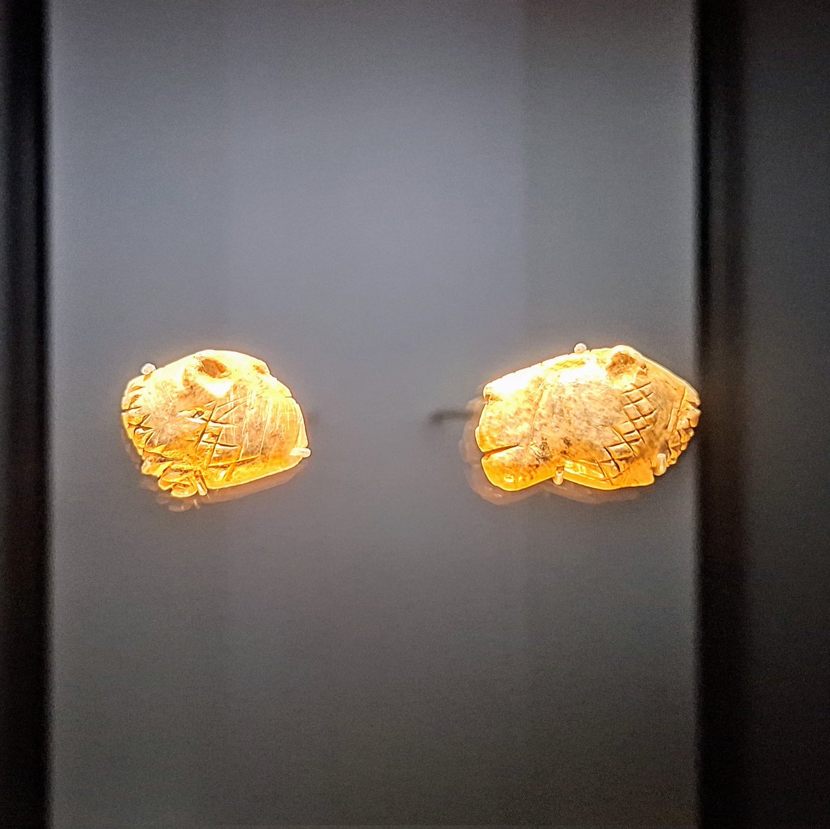 DrMFranceschini's tweet photo. Die #Sammlung enthält großartige #Exponate der #Antike! Meine besondere #Favorite: der steinzeitliche #Löwenkopf aus Mammutelfenbein und das keltische #Prunkgrab aus Hochdorf... eine #Entdeckung: die wunderbare Glassammlung! https://t.co/Vh1sfxnEnI