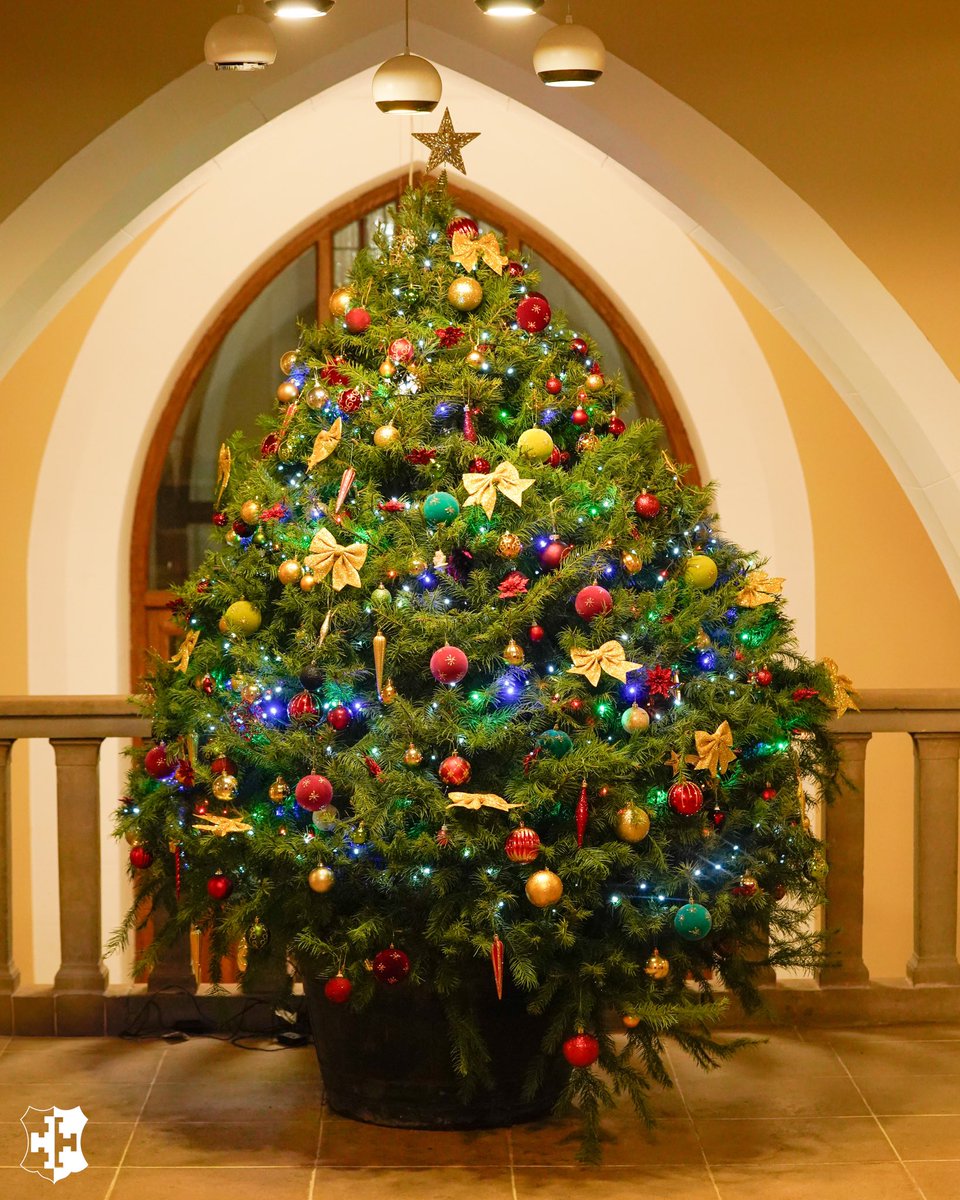 It’s beginning to look a lot like Christmas here at Denstone 🎄thank you to our grounds team for installing a beautiful tree and our domestics team for making it sparkle ✨ our pupils are already feeling Christmassy. #ChristmasStartsHere