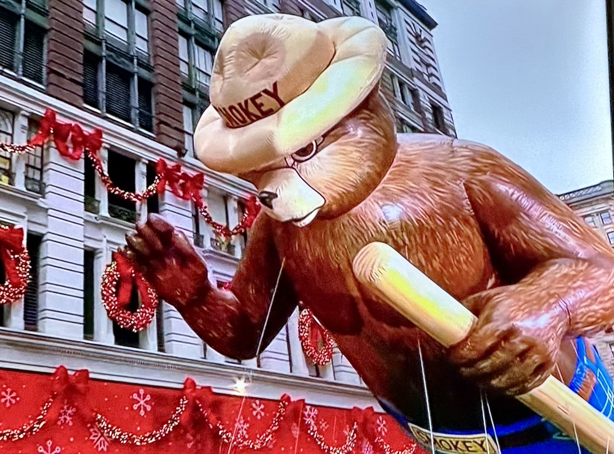 Kaylan_TX_'s tweet image. When did Smokey the Bear get pecs?