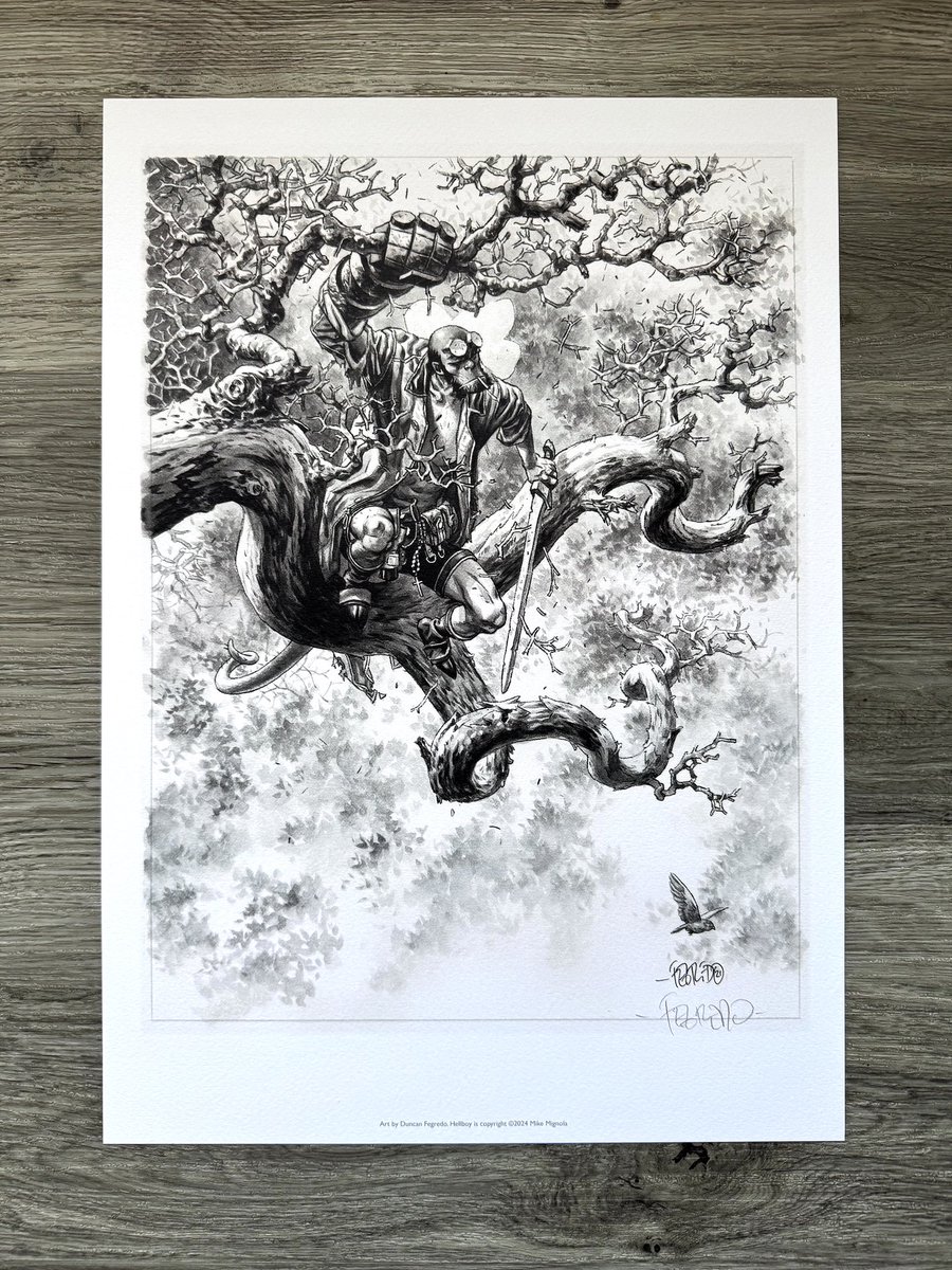 duncanfegredo's tweet image. New prints in my store… I finally got around to adding two Witches prints that combine with an existing print to make a triptych inspired by the scene in Hellboy: Darkness Calls. Also, Hellboy in a tree!
duncanfegredo.co.uk