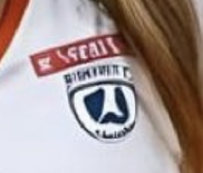 RightWingCope's tweet image. they're transvestigating an AI generated image lmao