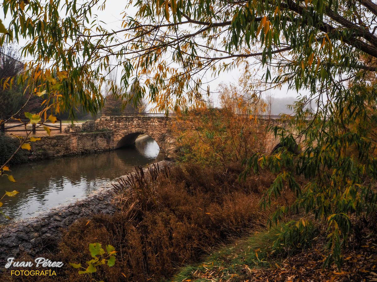 Río Valdemembra. Villanueva de la Jara. Cuenca.