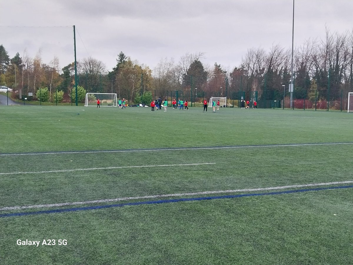 Our Lady of The Wayside tweet media