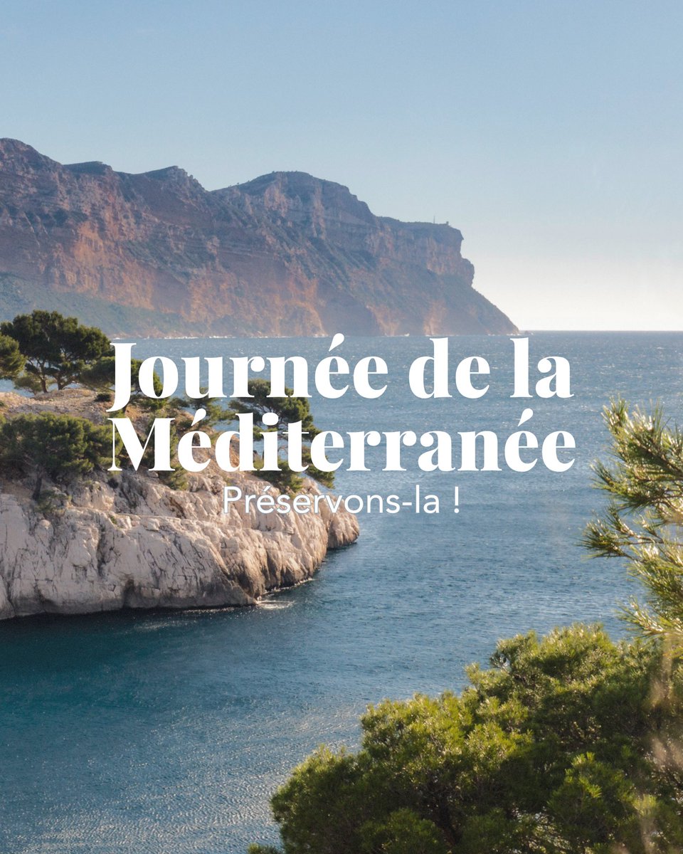 Renaud Muselier tweet media