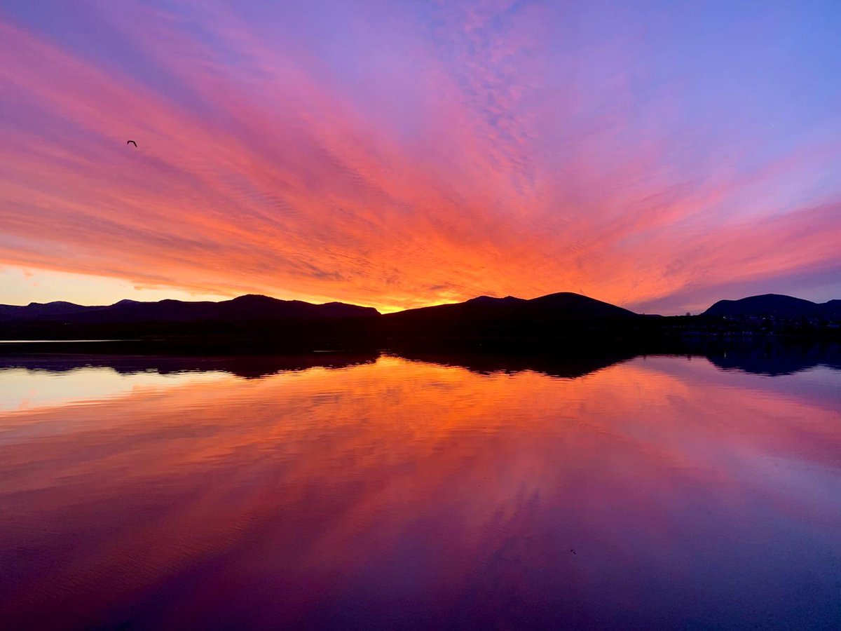 Anglesey Sea Zoo Marine Conservation Centre tweet media