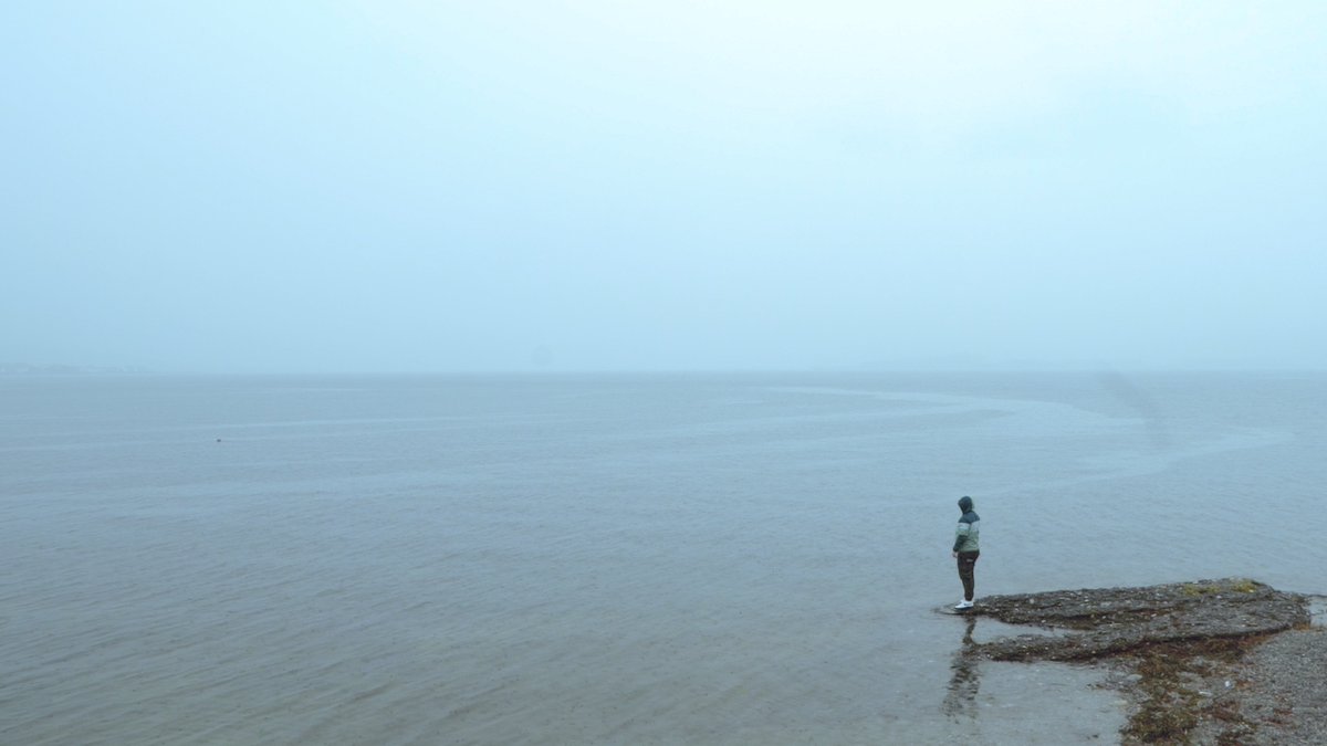 IWanderWorlds's tweet image. stills from movies i’ve shot