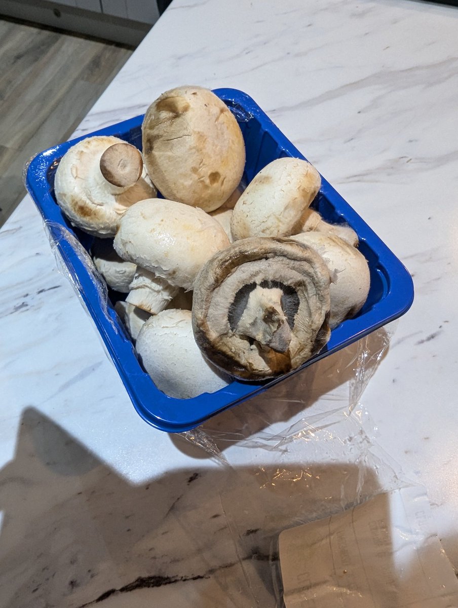 OrangeKidsRule's tweet photo. @Poundland This is disgraceful. I purchased some mushrooms from pound land today and opened them and saw this!! Absolutely disgusted. Covered in fluffy mould and reek!!! https://t.co/Laq4vhh82s