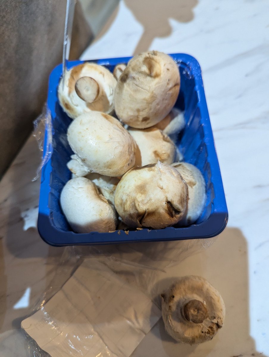 OrangeKidsRule's tweet photo. @Poundland This is disgraceful. I purchased some mushrooms from pound land today and opened them and saw this!! Absolutely disgusted. Covered in fluffy mould and reek!!! https://t.co/Laq4vhh82s