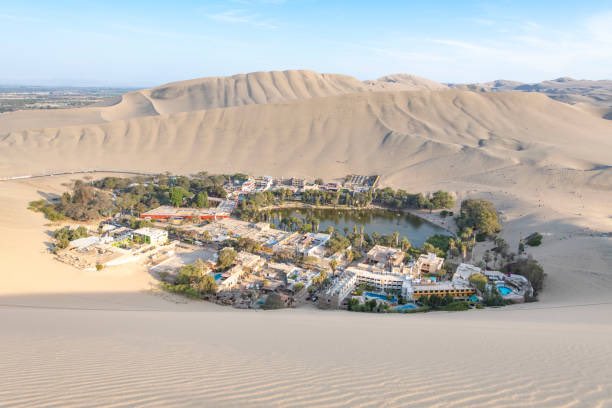 traveltipsx's tweet photo. Discover Huacachina, Peru: A Desert Oasis 🏜️✨🇵🇪

Tucked away in the Peruvian desert lies Huacachina, a tiny village built around a natural oasis. Known as the “Oasis of the Americas,” this surreal spot feels like something out of a storybook.

Sandboarding & Dune Buggies: Get your adrenaline fix by gliding down massive sand dunes or racing across them in a buggy.

The Oasis Lagoon: Take a paddleboat ride or simply relax by the water, surrounded by towering dunes.

Unforgettable Sunsets: Climb to the top of the dunes for a breathtaking view of the sun dipping below the desert horizon.

Travel Tips: Visit between May and September for clear skies and mild weather. Stay overnight to experience the peace of the oasis after the day-trippers leave.

Huacachina is a true hidden gem for adventurers and dreamers alike. Would you dare to sandboard or simply soak up the serenity? 🌍

#Huacachina #HiddenGem #PeruTravel #AdventureAwaits #BucketList