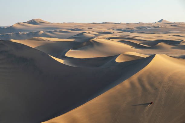 traveltipsx's tweet photo. Discover Huacachina, Peru: A Desert Oasis 🏜️✨🇵🇪

Tucked away in the Peruvian desert lies Huacachina, a tiny village built around a natural oasis. Known as the “Oasis of the Americas,” this surreal spot feels like something out of a storybook.

Sandboarding & Dune Buggies: Get your adrenaline fix by gliding down massive sand dunes or racing across them in a buggy.

The Oasis Lagoon: Take a paddleboat ride or simply relax by the water, surrounded by towering dunes.

Unforgettable Sunsets: Climb to the top of the dunes for a breathtaking view of the sun dipping below the desert horizon.

Travel Tips: Visit between May and September for clear skies and mild weather. Stay overnight to experience the peace of the oasis after the day-trippers leave.

Huacachina is a true hidden gem for adventurers and dreamers alike. Would you dare to sandboard or simply soak up the serenity? 🌍

#Huacachina #HiddenGem #PeruTravel #AdventureAwaits #BucketList