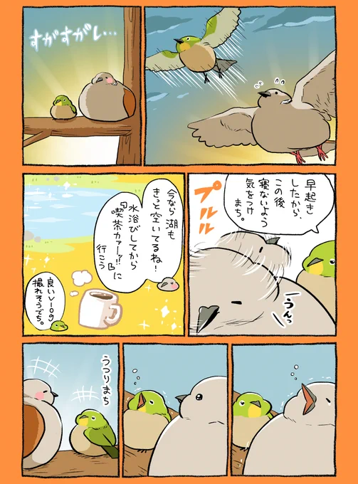 朝活デデッポッポ 