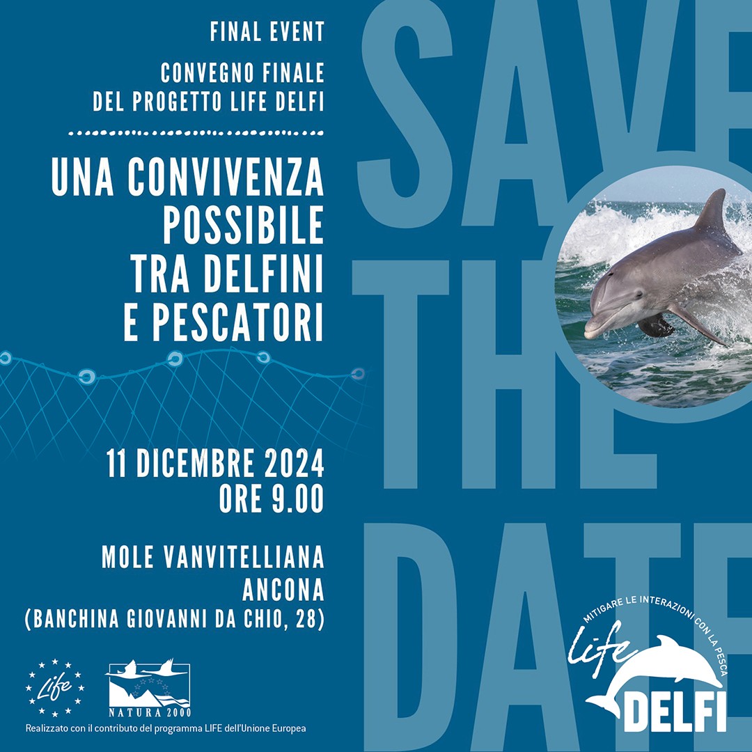 🔵 Save the date Final Event #LifeDelfi
Mole Vanvitelliana ad Ancona 11 dicembre 2024 h 9.00
#LIFEproject <a href="/LIFEprogramme/">LIFE Programme</a>
#Natura2000 #EUBiodiversity <a href="/CnrIrbim/">IRBIM CNR</a>