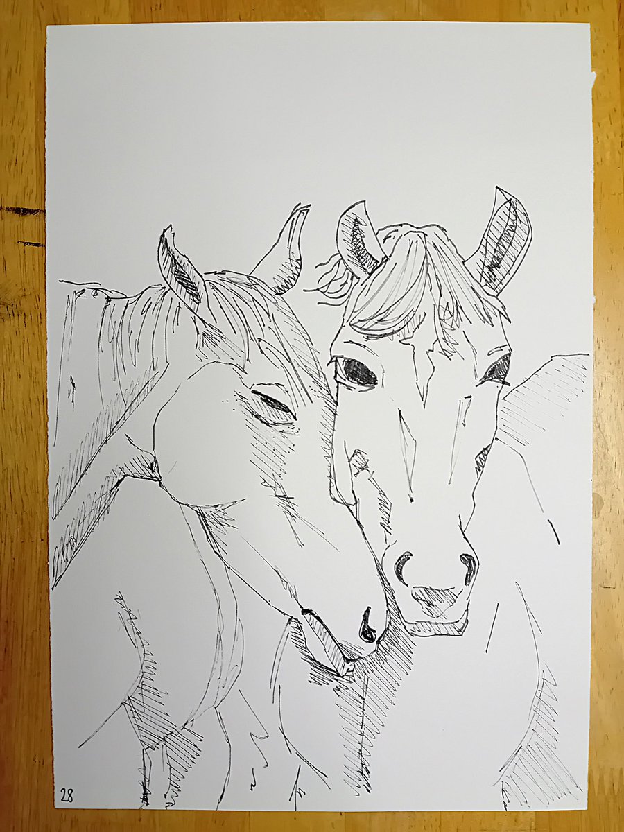 511arts's tweet photo. #NoPressureNovember
Day 28 - Draw an animal/animals of your choice - maximum 20 minutes

I don’t know why I picked horses but I picked horses…..reckon it could have gone worse… https://t.co/xb1xg4cPhf
