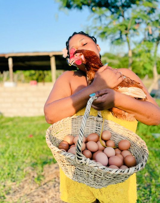 frankbyiringir0's tweet photo. If you're hesitant to #start_small, remember that there are always individuals who can serve as inspiring role models.
Stay connected here for valuable insights and practical skills to help you excel in agriculture. https://t.co/xpylEZG5Jq