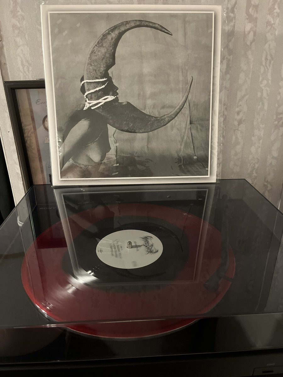 1 crow shy of a murder 🏴‍☠️🇺🇲 tweet media