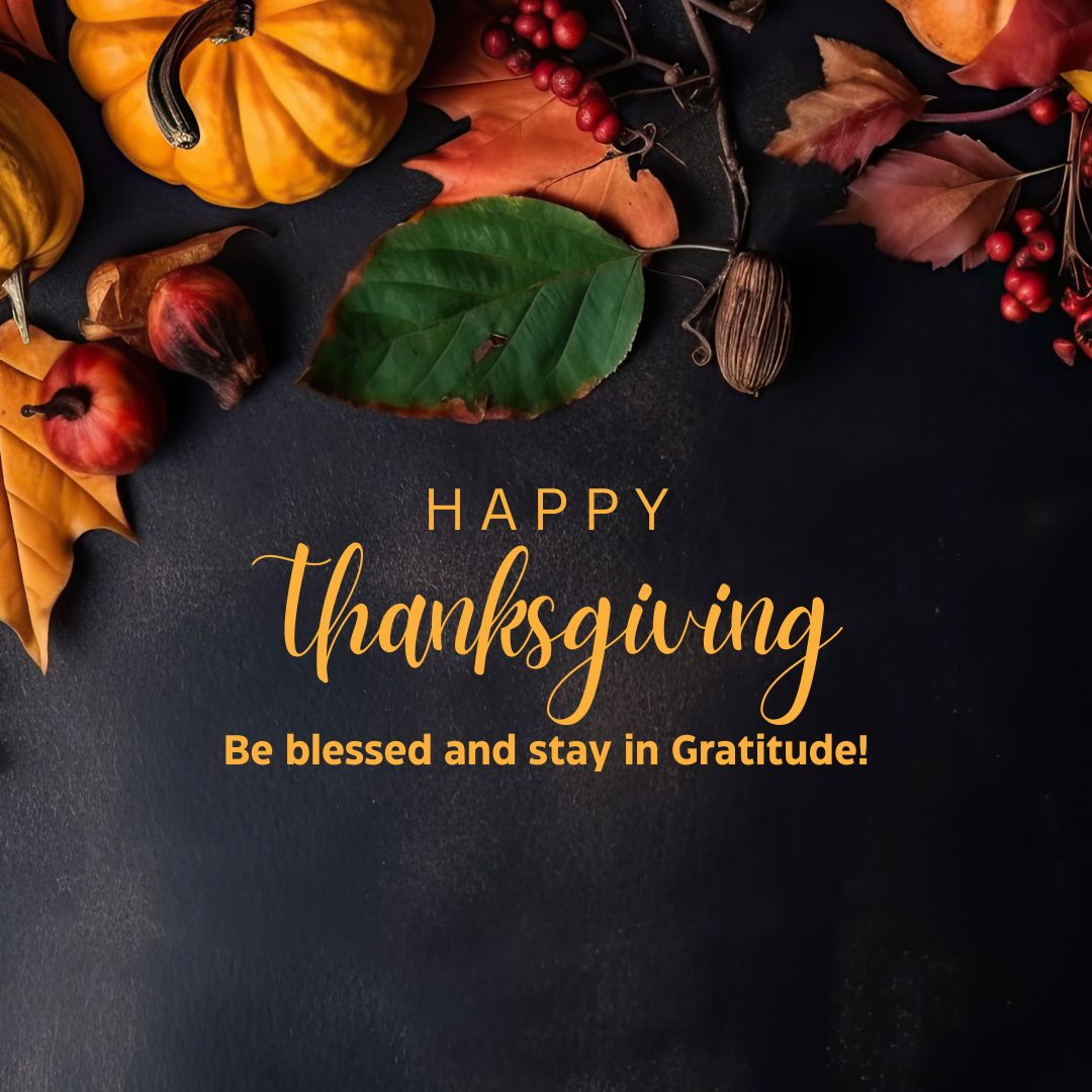 Happy Thanksgiving!  

Today, I have a lot to be grateful for. God continues to energize me  through my entrepreneurial experience to get a few more tasks accomplished before year end!  

One being  DaiTechCorp's online store pre-launched this morning.    zurl.co/NTVy