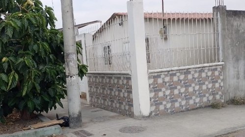 DefensoresAn's tweet photo. #Guayaquil #MiLote Reportan refugio clandestino de perros, habría alrededor de 20 canes. Supuestamente, fundas de basura con animales muertos, moscas por montones. No entrega evidencias al respecto. Atención, NO ES SOPLAR y HACER "REFUGIO" https://t.co/QvU5Uv0IML