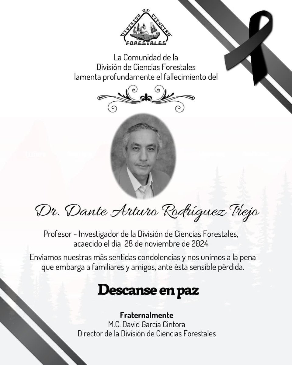 Nos despedimos. Su chispa aquí se apagó, pero su luz sigue iluminando como referente en el Manejo del fuego. Sigamos manteniendo la esperanza de un mundo mejor en nuestros corazones, porque cada pequeño cambio que hagamos en su memoria es un paso hacia el sueño que compartimos.