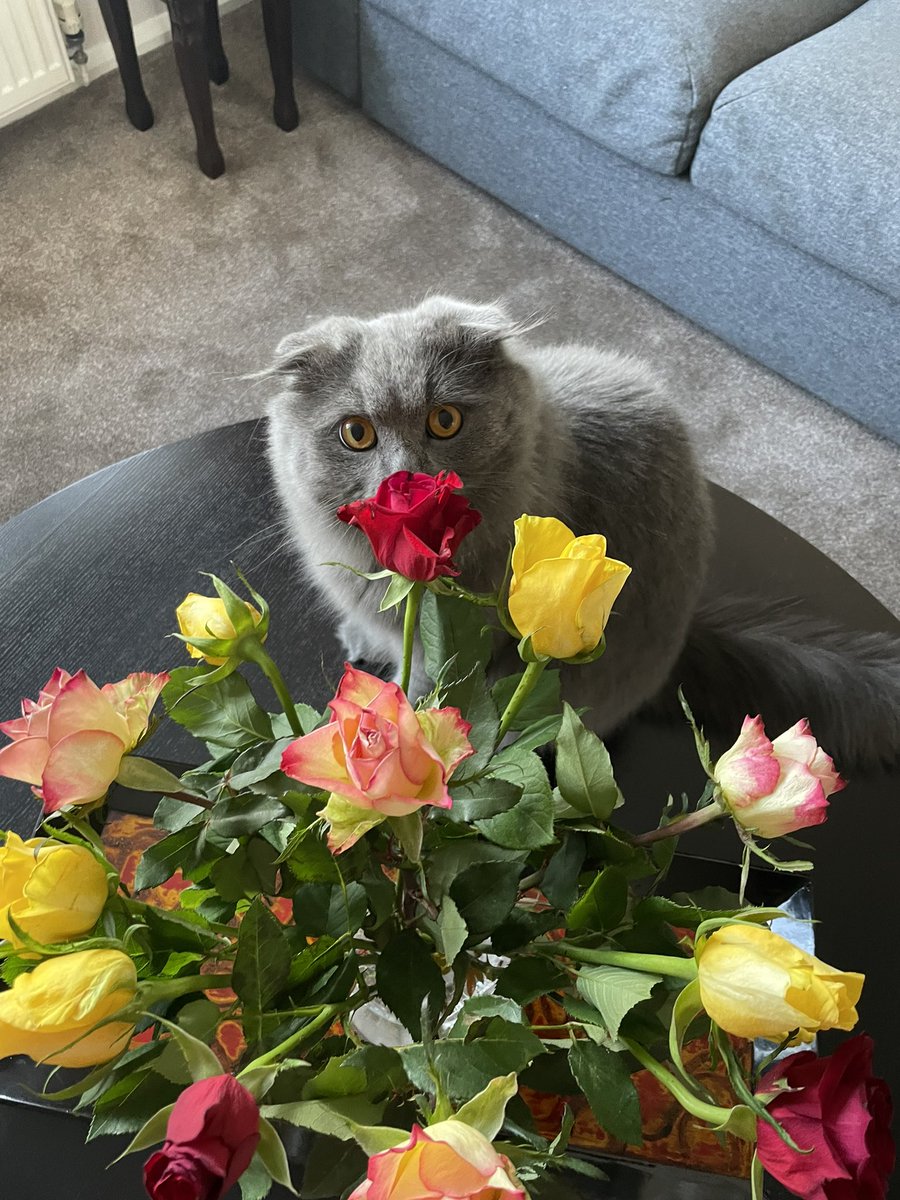 🐾