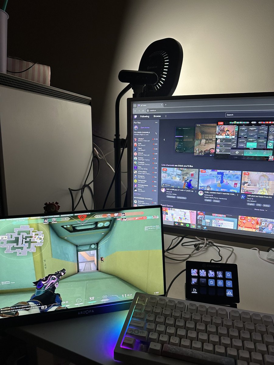 starriebun tweet media