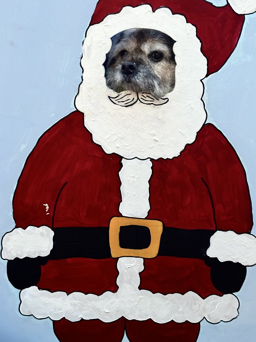 ScrappyN's tweet photo. Out again pals, this time to the @DelapreAbbey #WinterLightsTrail HO HO HO #ScrappyNelson #dogsofX #btposse #DelapreAbbey #ScrappyChristmas https://t.co/zIfSAU4z2j