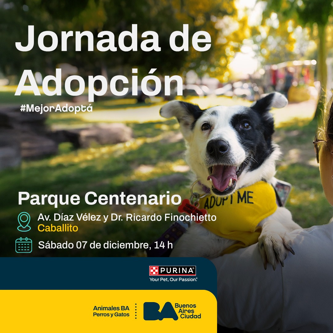 Animales BA tweet media