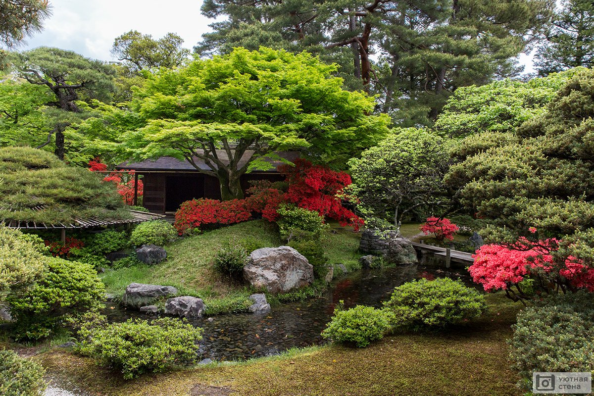 mert buğra çelebi (@celebimertbugra) on Twitter photo 