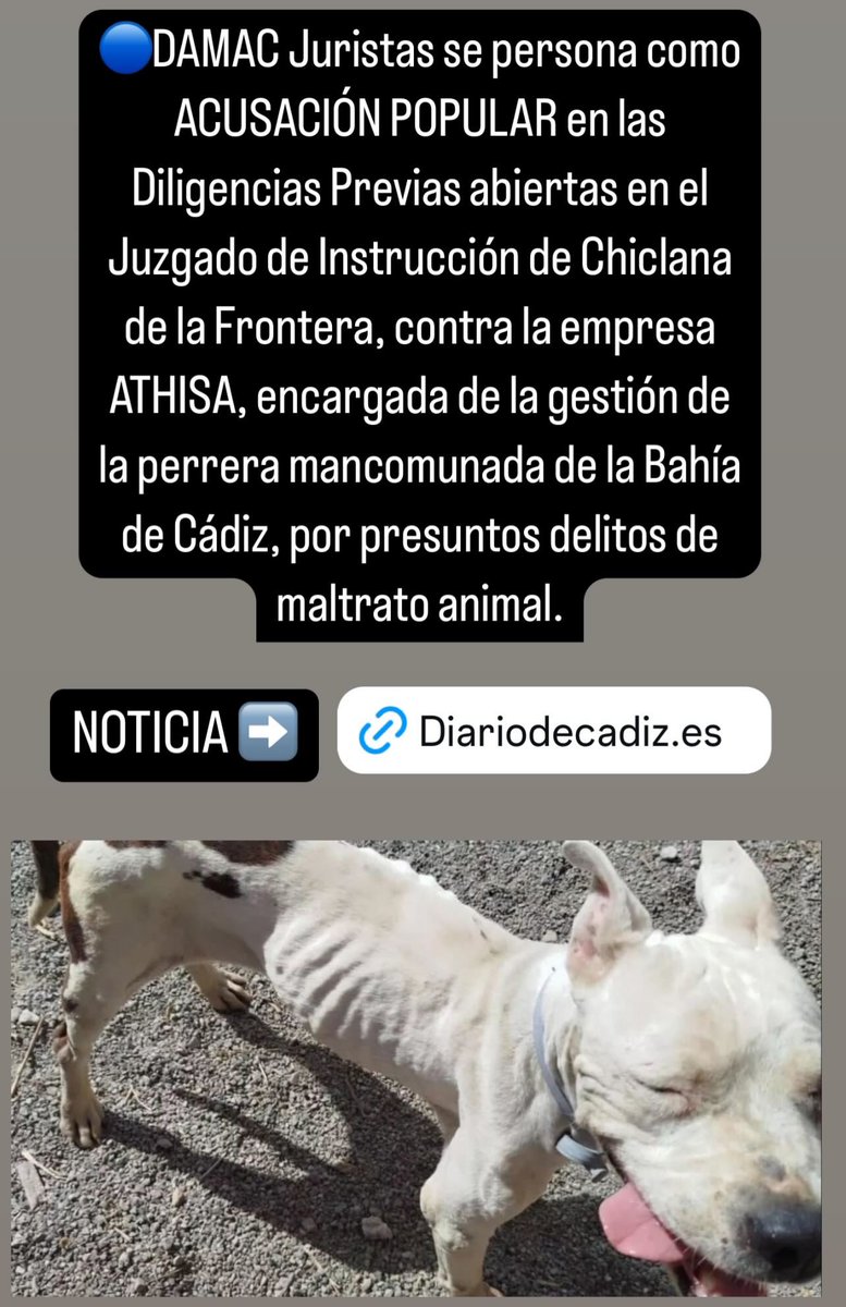 🔵 <a href="/damacjuristas/">damacjuristas</a> se persona como Acusación Popular en el procedimiento penal abierto contra la perrera de la Mancomunidas Bahía de Cádiz gestionada por Athisa.

🔵NOTICIA: instagram.com/p/DC7HreMI2Eb/…