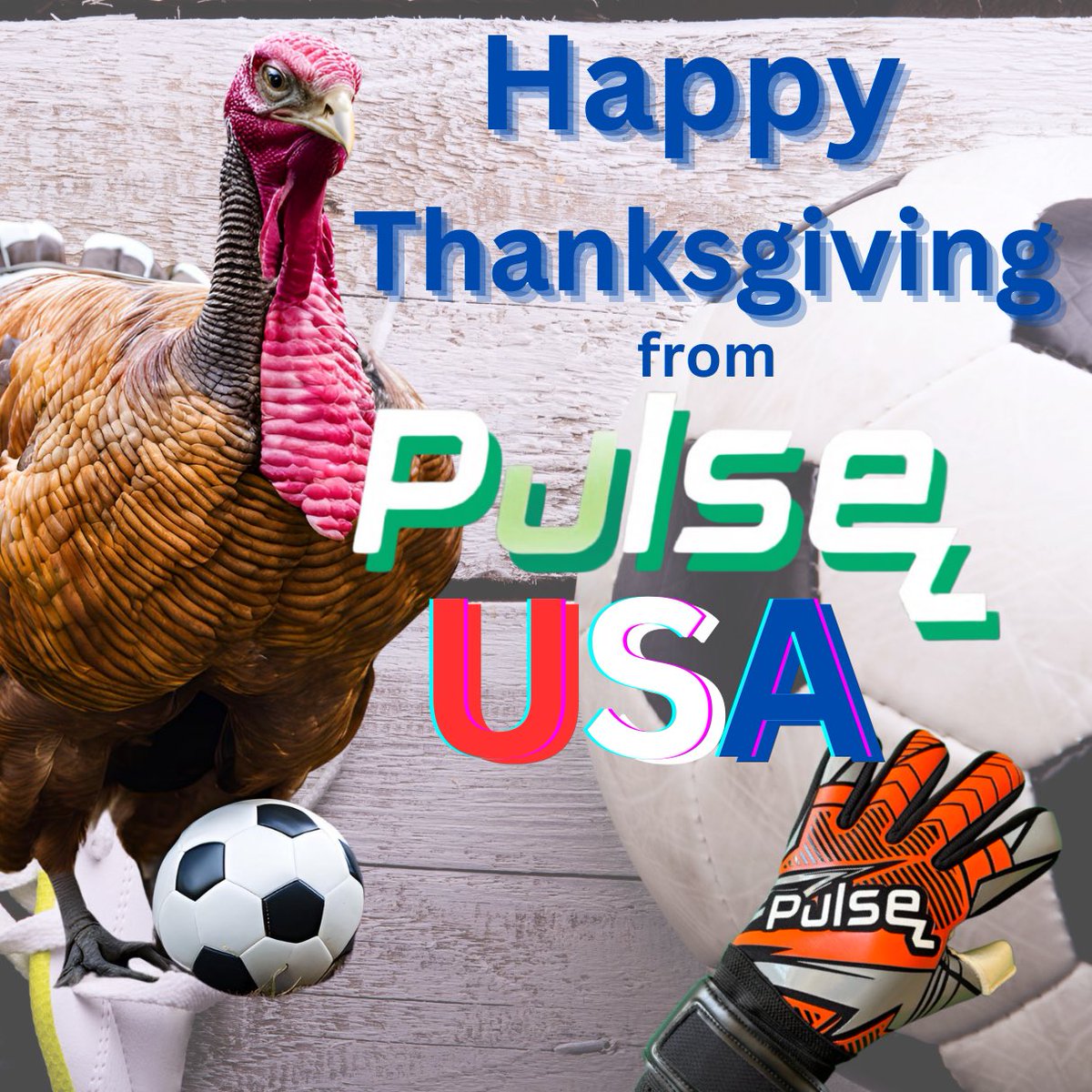 PulseGoalkeepingUSA (@pulsegkusa) on Twitter photo 