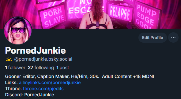 PornedJunkie.bsky.social tweet media